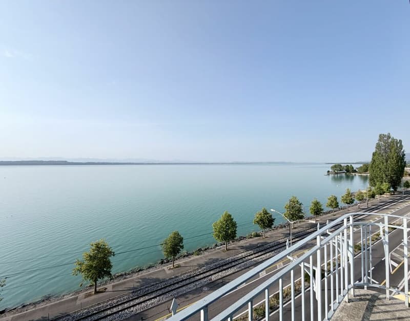 Rénové ! Duplex de 4.0 pièces avec vue sur le lac ! (4)