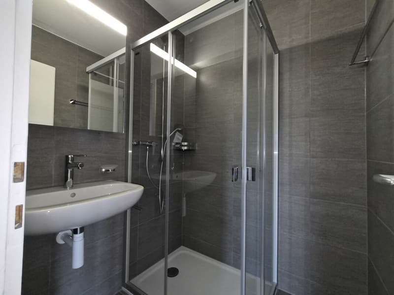 Libre de suite ! Appartement de 4.0 pièces rénové ! 1 mois de loyer net offert ! (6)