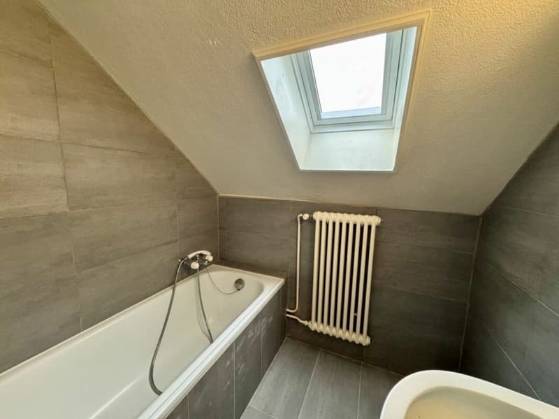 3.5 pièces sous les combles - Charme unique au coeur du centre-ville (5)
