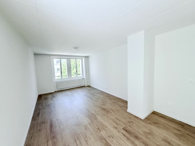 Rénové ! Appartement de 4.0 pièces avec balcon (6)