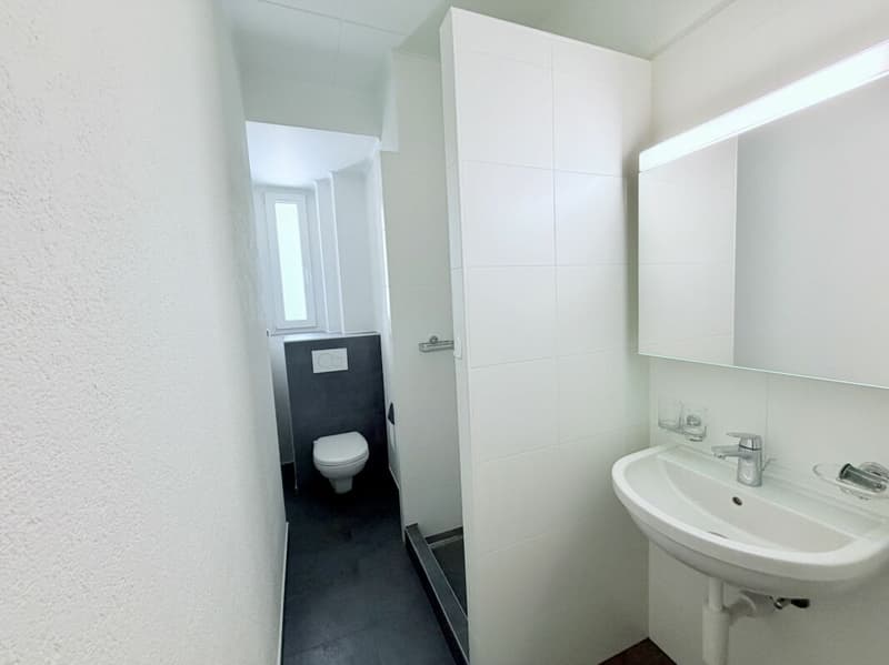 Rénové ! Appartement de 3.0 pièces (6)