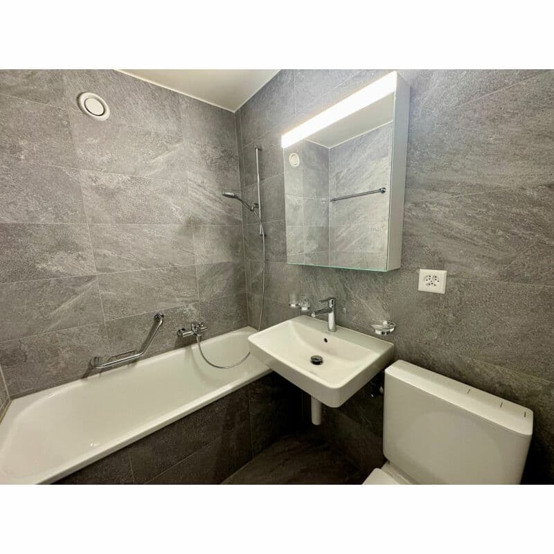 Studio rénové - Disponible immédiatement, idéal pour un premier logement ! (3)