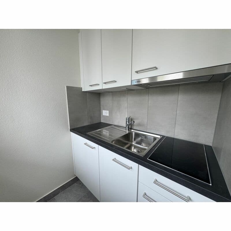 Studio rénové - Disponible immédiatement, idéal pour un premier logement ! (2)