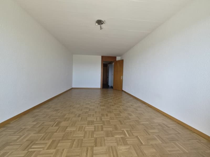 Studio rénové avec encadrement et vue sur le lac au 3ème étage (3)