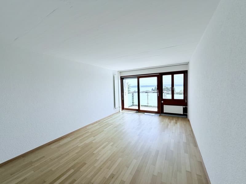 Studio rénové avec encadrement et vue sur le lac au 4ème étage (1)