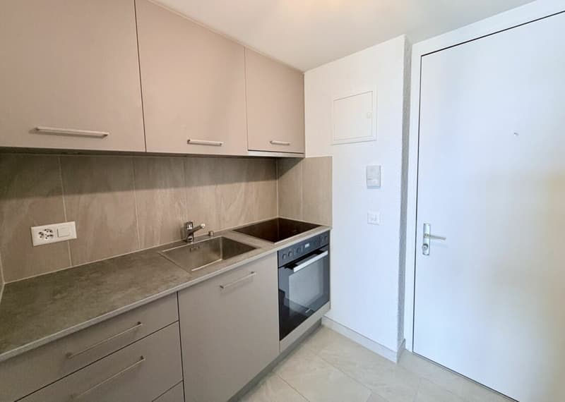 Studio rénové avec encadrement et vue sur le lac au 4ème étage (3)