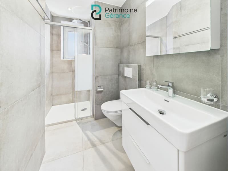 Appartement moderne, lumineux et confortable de 3.0 pièces (6)