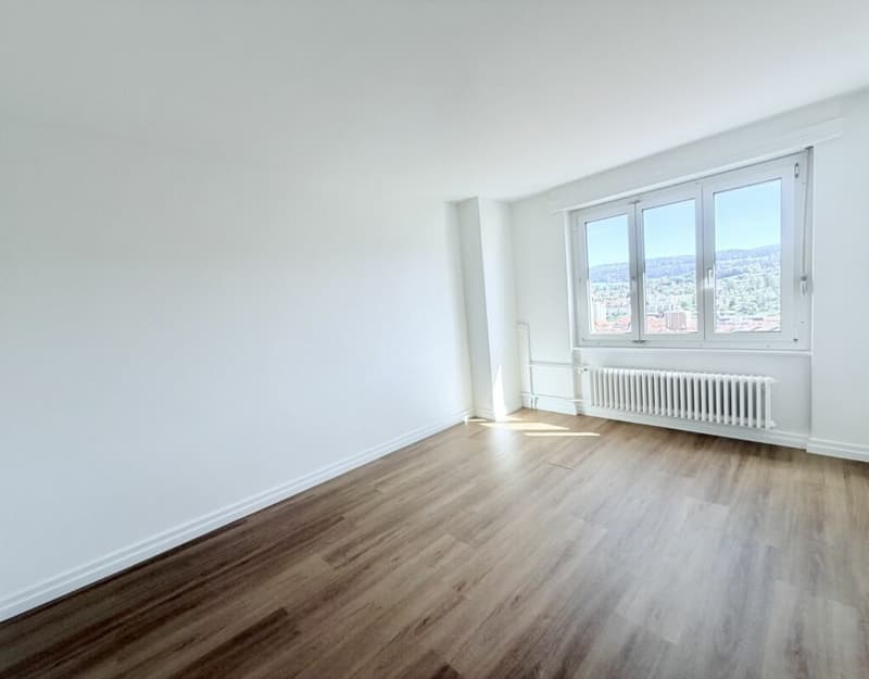 Rénové ! Appartement de 2.0 pièces avec vue dégagée (2)