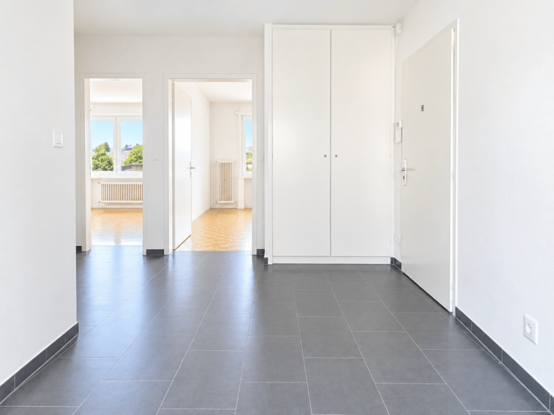 APPARTEMENT DE 3.5 PIÈCES RÉNOVÉ AVEC TERRASSE ET VUE SUR LE LAC ! (5)