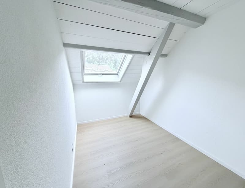 APPARTEMENT DE 4.5 PIÈCES ENTIÈREMENT RÉNOVÉ AVEC TERRASSE ET VUE SUR LA VALLÉE (6)