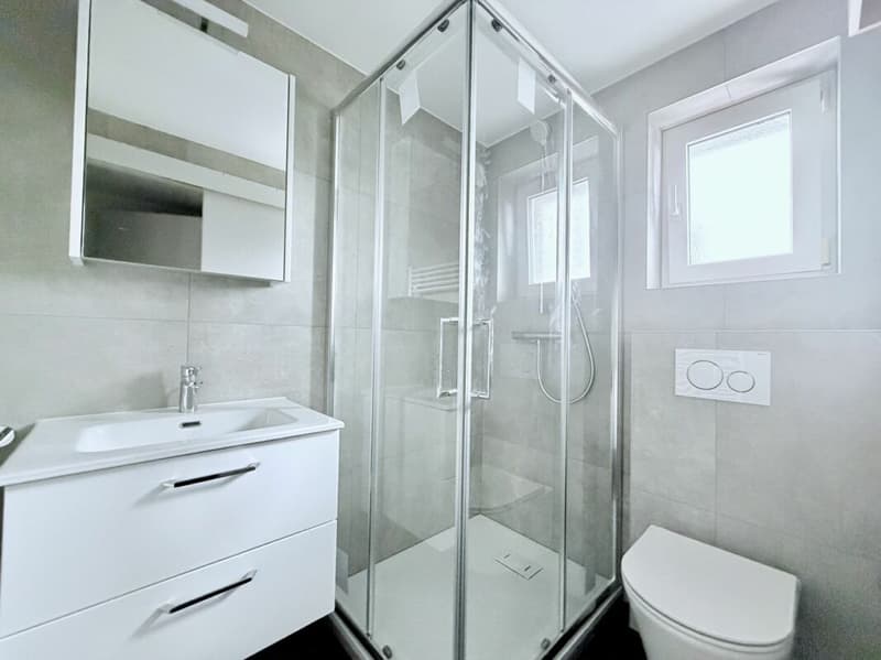 APPARTEMENT DE 4.5 PIÈCES ENTIÈREMENT RÉNOVÉ AVEC TERRASSE ET VUE SUR LA VALLÉE (7)