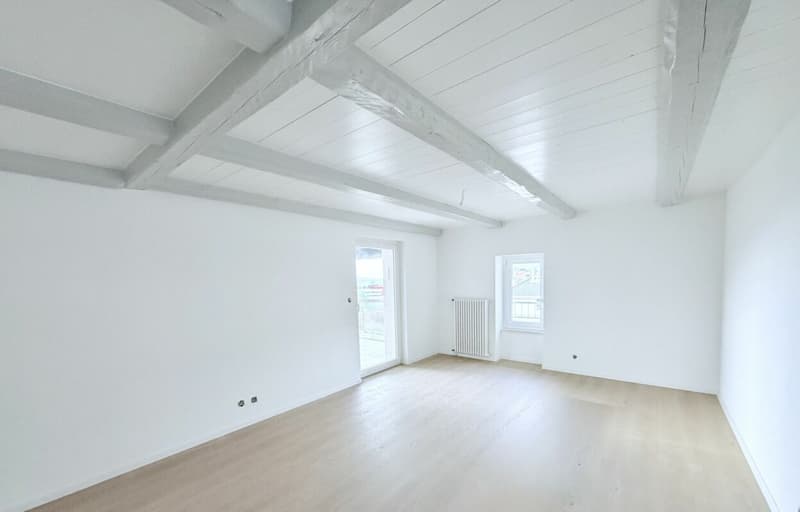 APPARTEMENT DE 4.5 PIÈCES ENTIÈREMENT RÉNOVÉ AVEC TERRASSE ET VUE SUR LA VALLÉE (2)