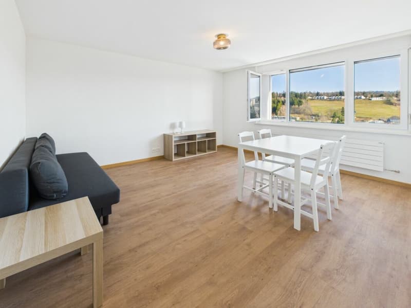 APPARTEMENT DE 2.5 PIÈCES RÉNOVÉ À LA CHAUX-DE-FONDS - À VISITER ! (2)