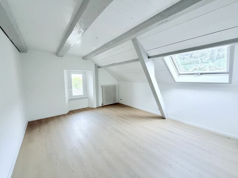 APPARTEMENT DE 4.5 PIÈCES ENTIÈREMENT RÉNOVÉ AVEC TERRASSE ET VUE SUR LA VALLÉE (3)