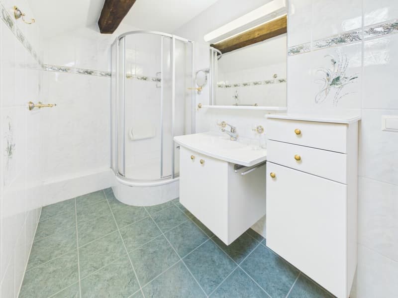 Maison individuelle de 5.5 pièces avec cheminée et jardin (7)