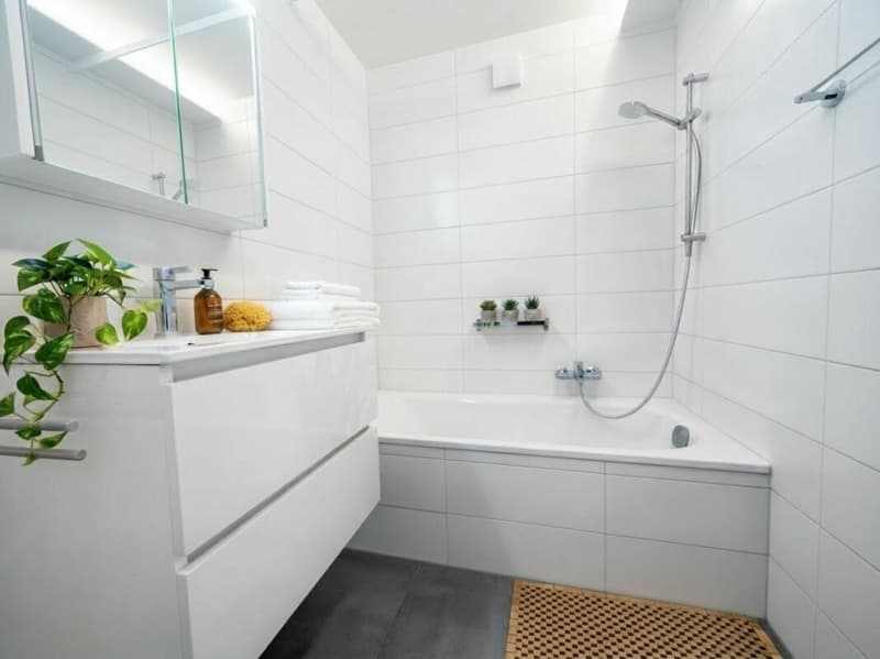 VUE SUR LE LAC ET APPARTEMENT RÉNOVÉ - SPACIEUX 4,5 PIÈCES À SAINT-AUBIN-SAUGES (7)