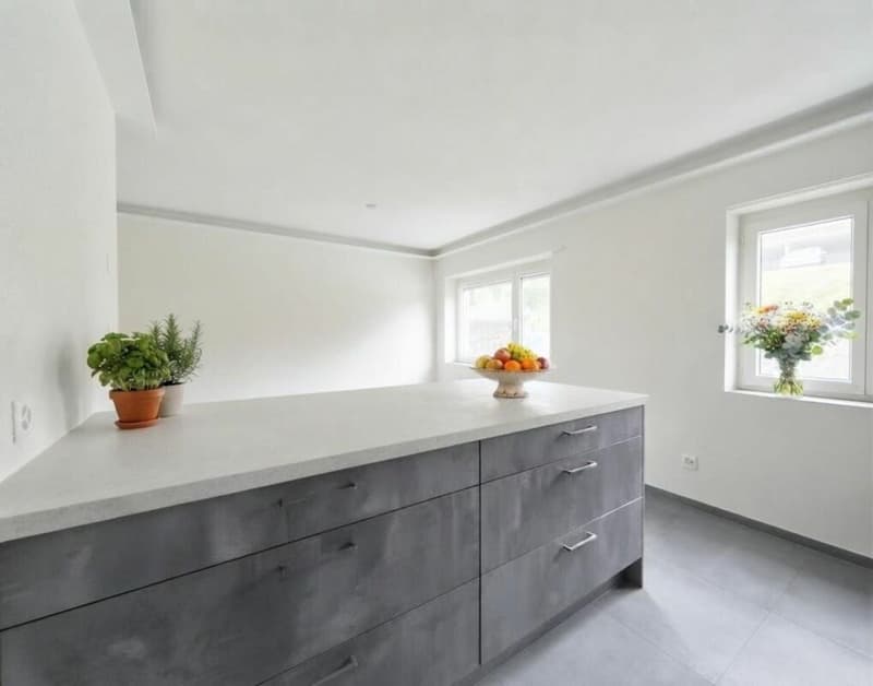 VUE SUR LE LAC ET APPARTEMENT RÉNOVÉ - SPACIEUX 4,5 PIÈCES À SAINT-AUBIN-SAUGES (3)