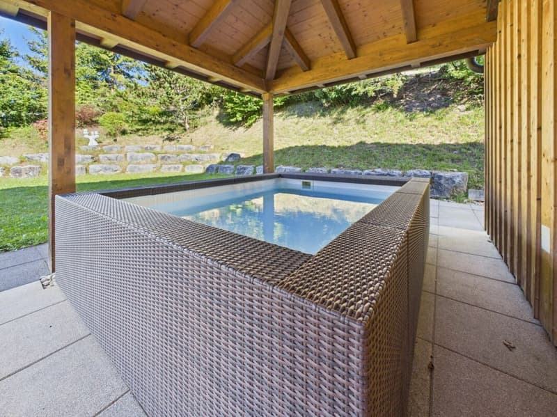 COLOCATION MEUBLÉE DANS UNE VILLA AVEC JARDIN ET PISCINE - DÈS CHF 695.-/MOIS ! (7)