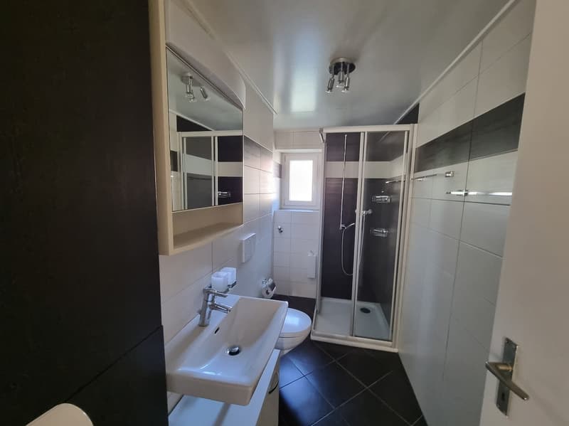 bathroom with sink, toilet, shower, mirror, shower room