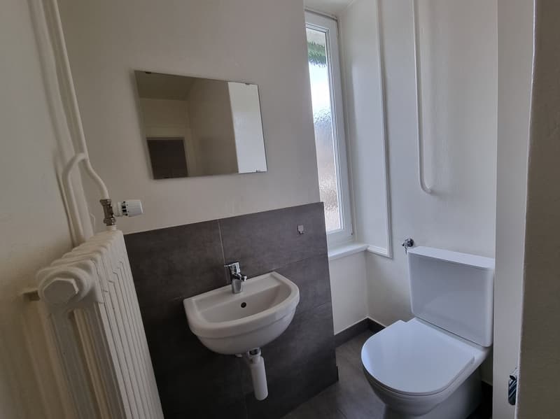 Spacieux appartement de 5,5 pièces (10)