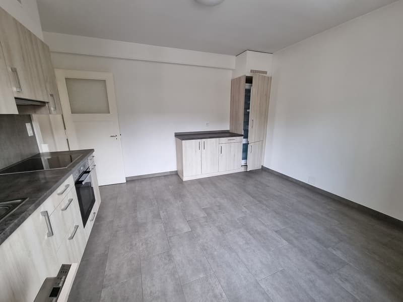 Spacieux appartement de 5,5 pièces (2)
