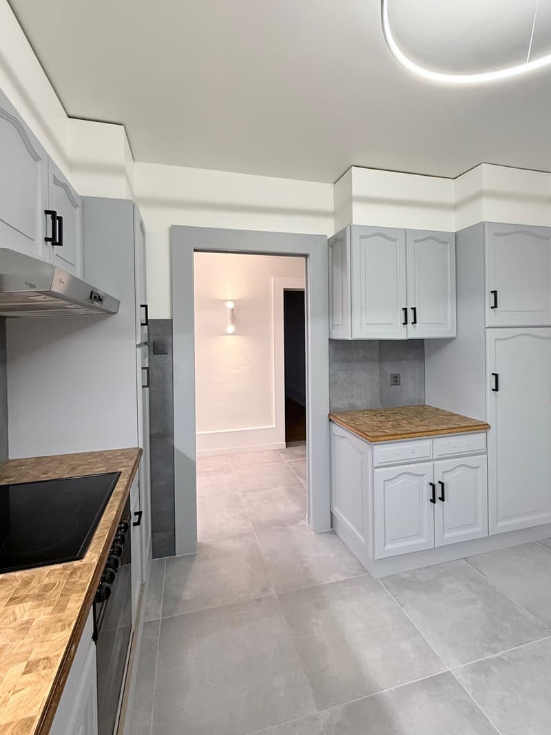 Joli appartement rénové de 4 pièces au 1er étage avec balcon et jardin commun (3)