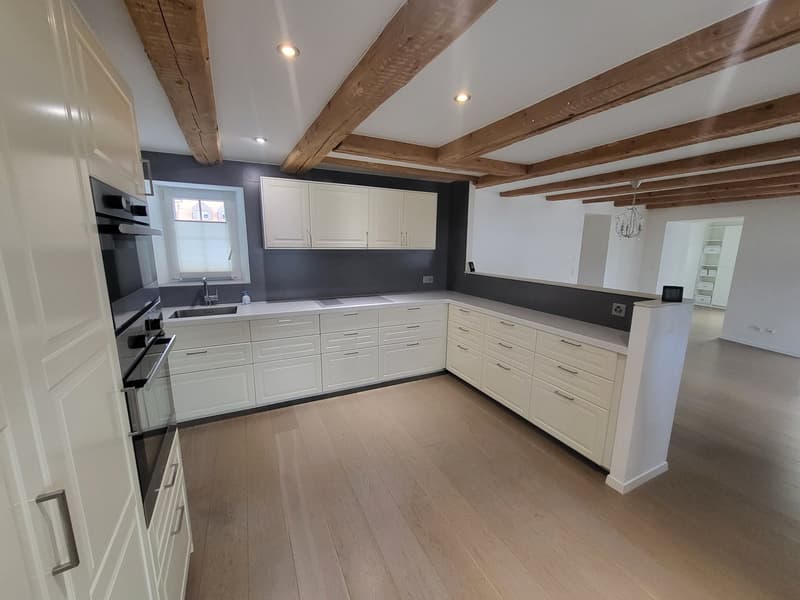 Jolie maison individuelle de 5,5 pièces sur 3 étages avec deux terrasses et jardin privé (2)