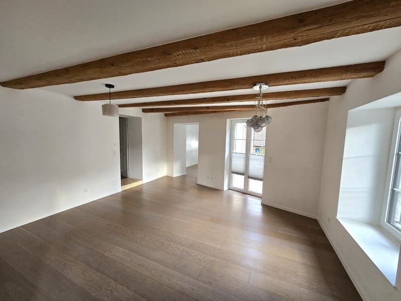 Jolie maison individuelle de 5,5 pièces sur 3 étages avec deux terrasses et jardin privé (4)