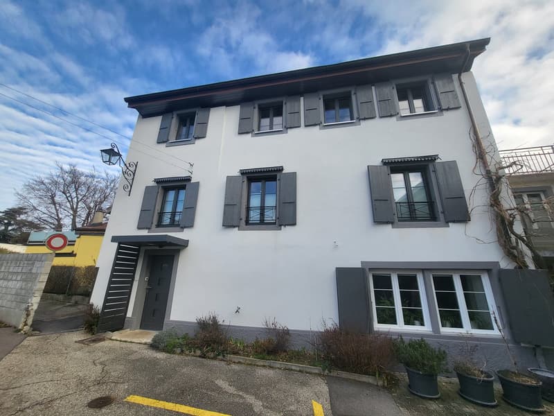 Jolie maison individuelle de 5,5 pièces sur 3 étages avec deux terrasses et jardin privé (17)