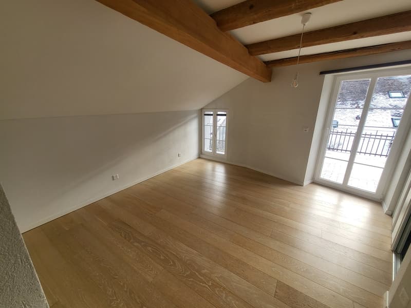 Jolie maison individuelle de 5,5 pièces sur 3 étages avec deux terrasses et jardin privé (14)