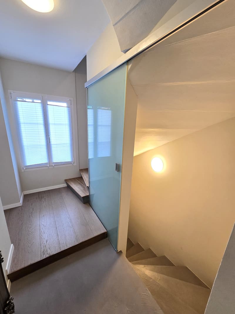 Jolie maison individuelle de 5,5 pièces sur 3 étages avec deux terrasses et jardin privé (6)