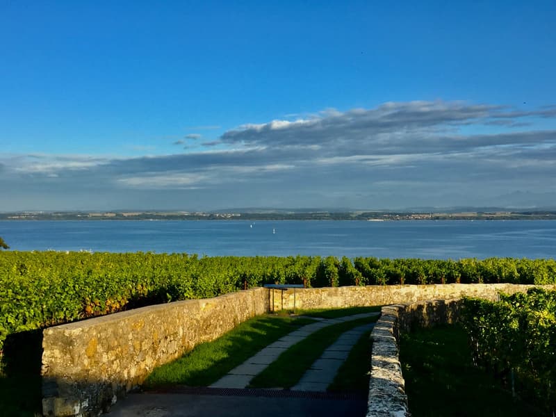 Jolie maison individuelle de 5,5 pièces sur 3 étages avec deux terrasses et jardin privé (21)