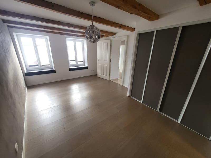 Jolie maison individuelle de 5,5 pièces sur 3 étages avec deux terrasses et jardin privé (9)