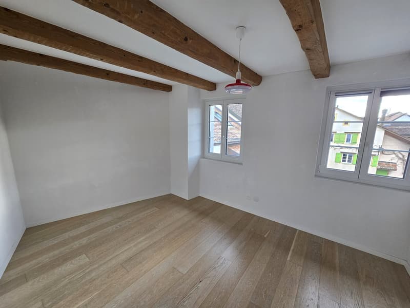 Jolie maison individuelle de 5,5 pièces sur 3 étages avec deux terrasses et jardin privé (13)