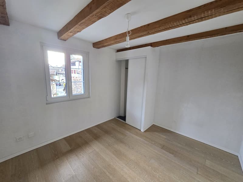 Jolie maison individuelle de 5,5 pièces sur 3 étages avec deux terrasses et jardin privé (12)