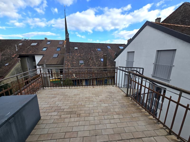 Jolie maison individuelle de 5,5 pièces sur 3 étages avec deux terrasses et jardin privé (15)