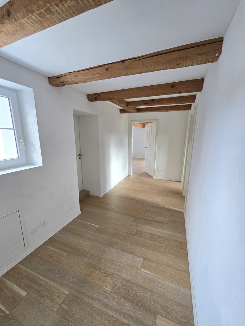 Jolie maison individuelle de 5,5 pièces sur 3 étages avec deux terrasses et jardin privé (11)
