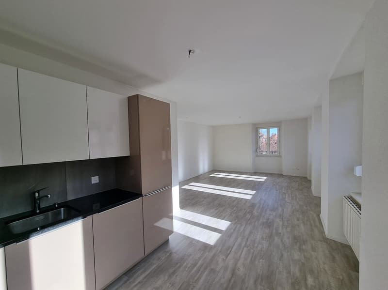 Appartement 3.5 pièces avec cachet au 1er étage (2)