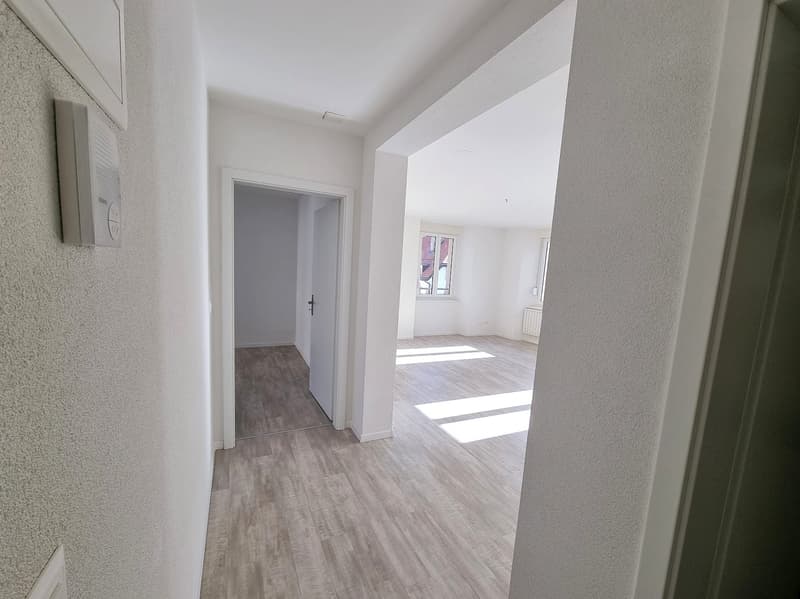 Appartement 3.5 pièces avec cachet au 1er étage (5)
