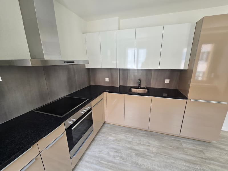 Appartement 3.5 pièces avec cachet au 1er étage (1)