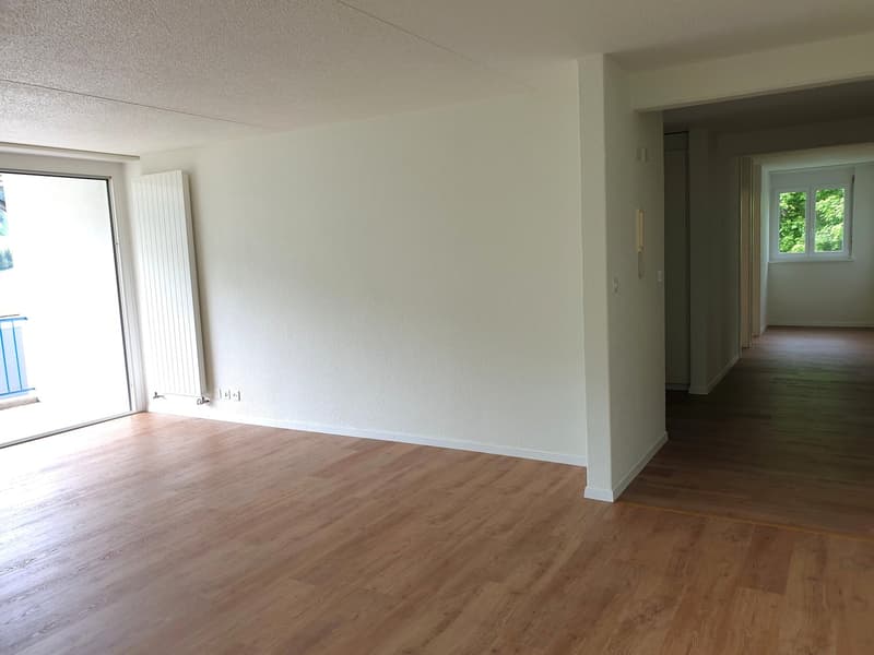 empty room, wooden floor, white walls, sliding glass door, balcony, radiator