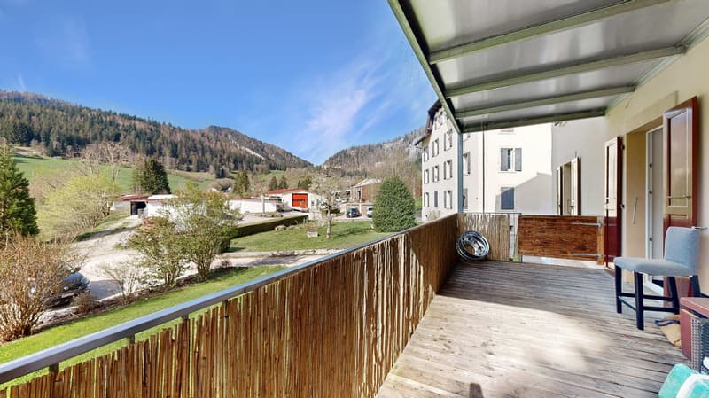 Superbe appartement de 4 pièces avec grand balcon, jardin et dans un quartier très calme (6)