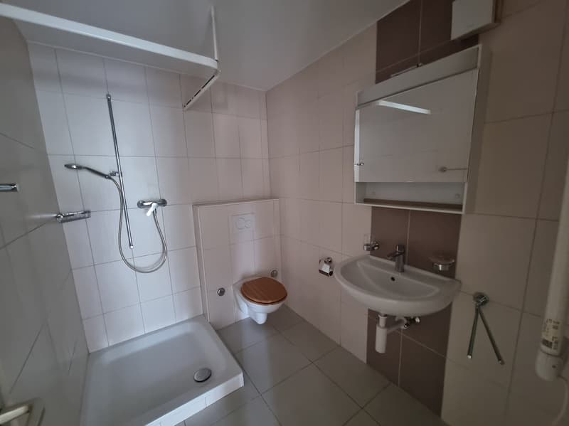Appartement 2 pièces au rez-de-chaussée (5)