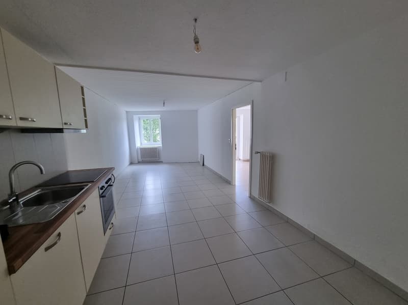 Appartement 2 pièces au rez-de-chaussée (2)