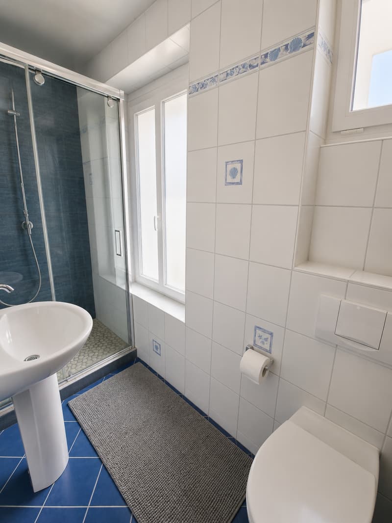 Superbe appartement de 5 pièces en triplex au 1er étage avec terrasse et jardin (13)