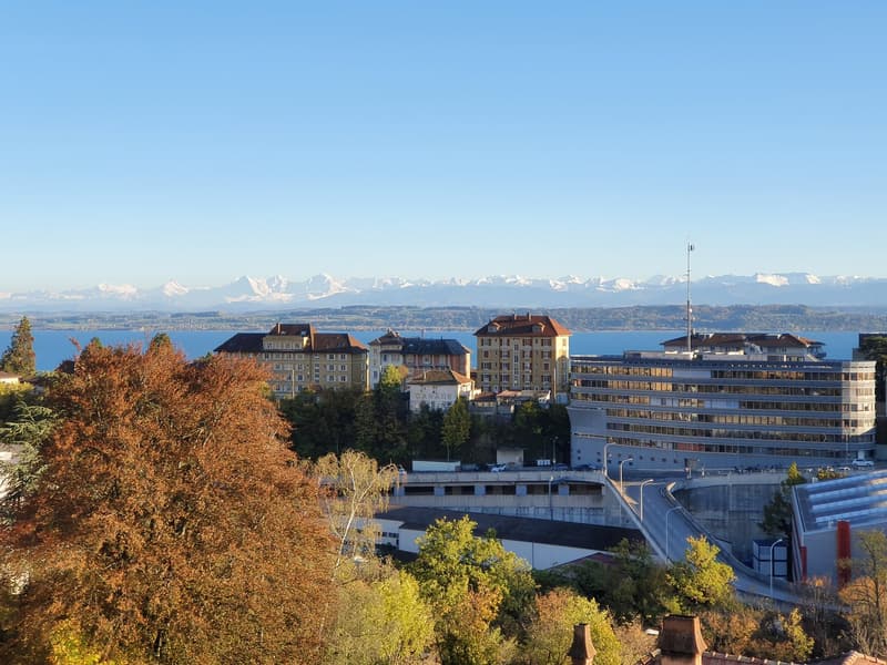 Splendide appartement en attique de 3,5 pièces avec balcon et vue sur le lac (11)