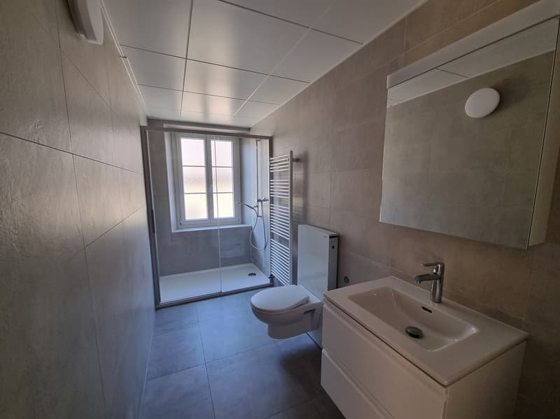 Appartement de 4 pièces récemment rénové (6)