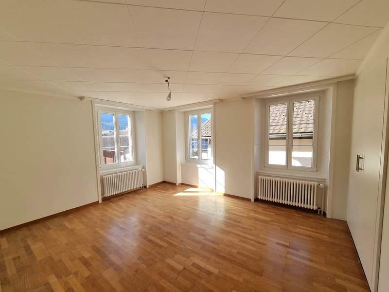 Appartement de 4 pièces récemment rénové (3)