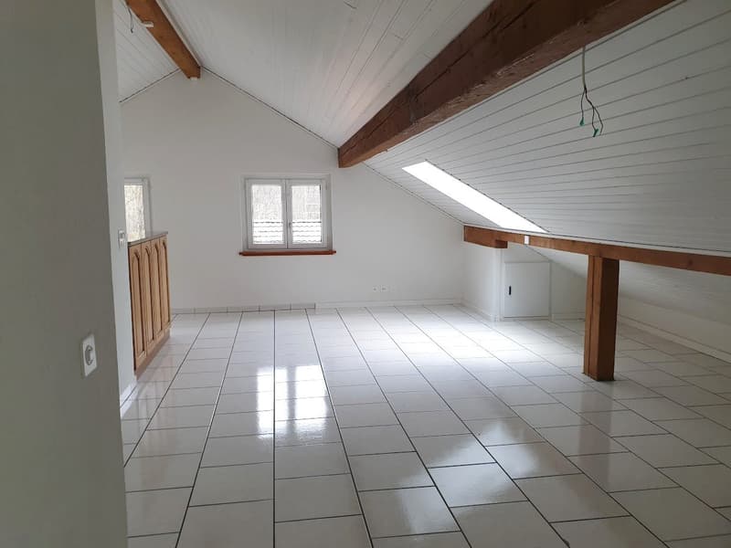 Appartement 3 pièces mansardé avec balcon (6)