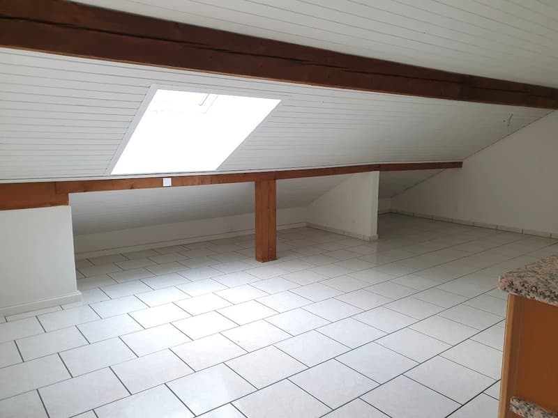 Appartement 3 pièces mansardé avec balcon (5)